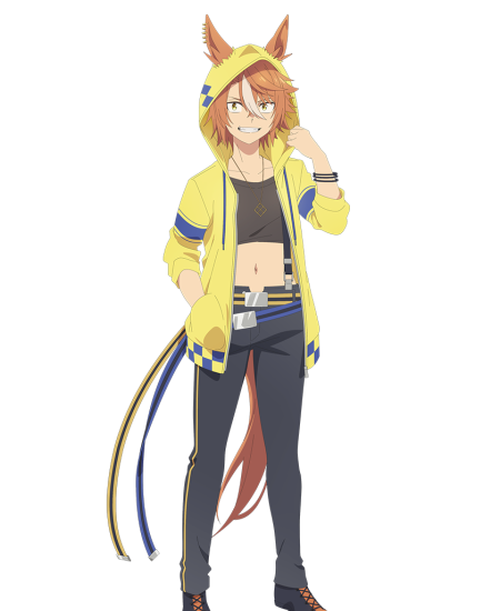 Dicta Striker