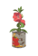 Housenka