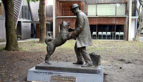 Hachiko el perro más famoso de Japón