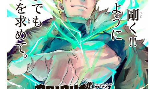 Poratada del manga